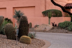 Scottsdale-Exposed-Aggregate-Driveway04